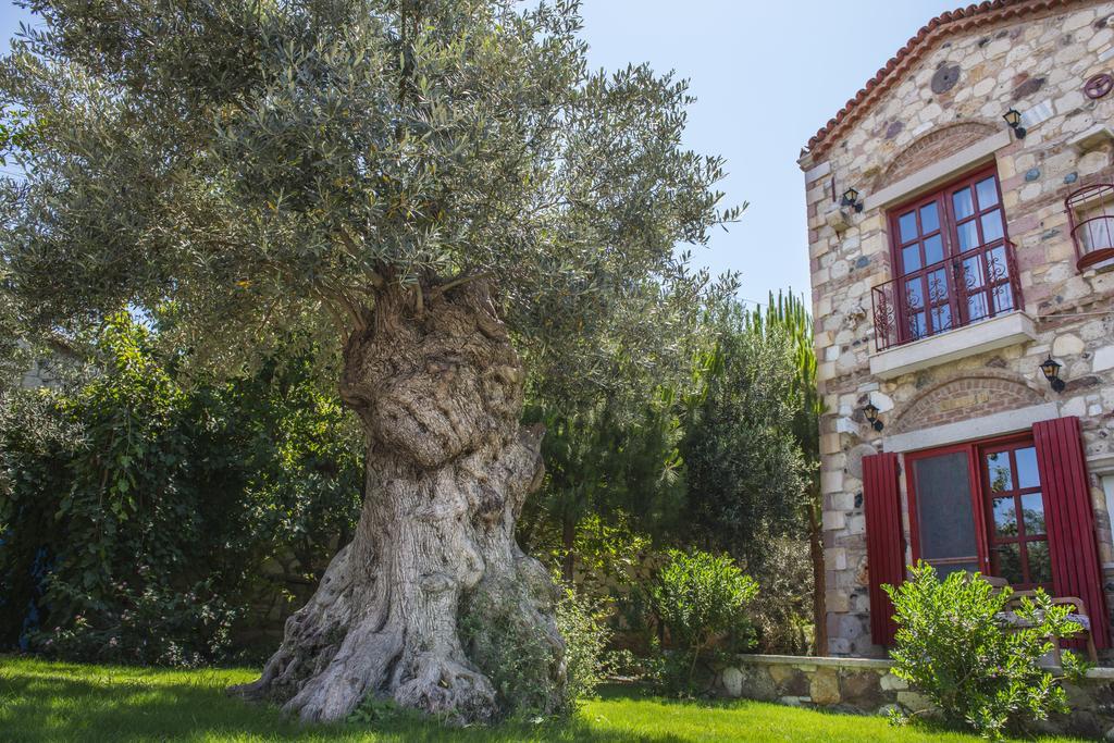 Alacati Zeytin Konak Hotel Exterior foto